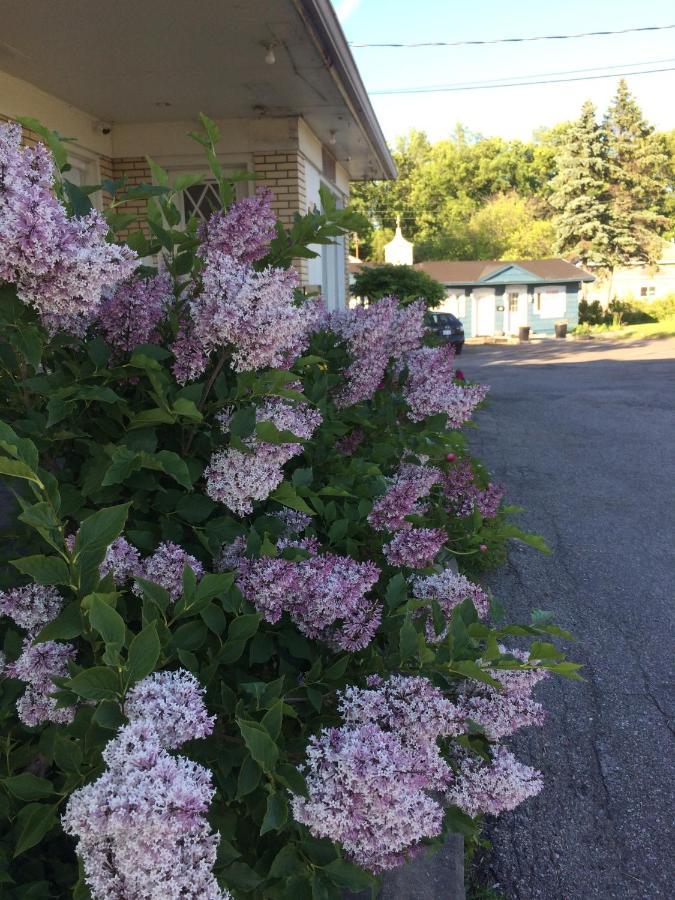 Motel Le Jardin Квебек Екстериор снимка